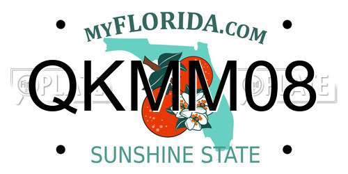 QKMM08 Florida License Plate