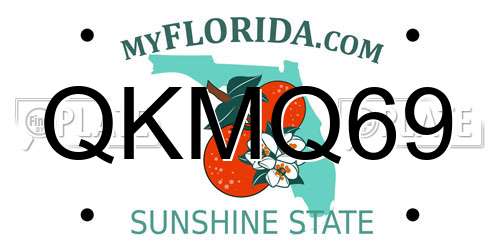 QKMQ69 Florida License Plate