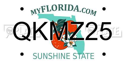 QKMZ25 Florida License Plate