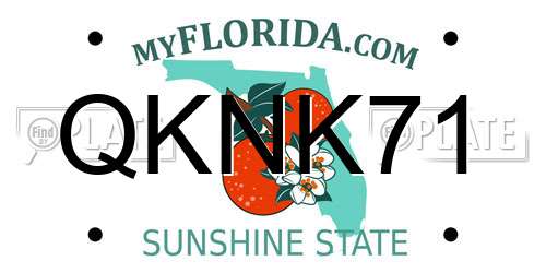 QKNK71 Florida License Plate