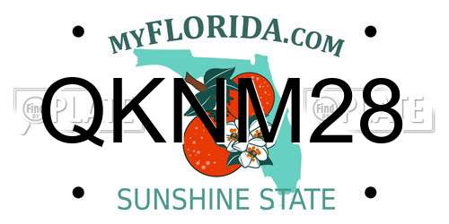 QKNM28 Florida License Plate