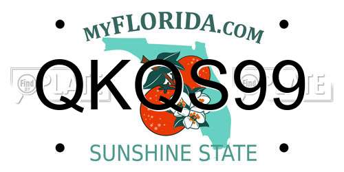 QKQS99 Florida License Plate