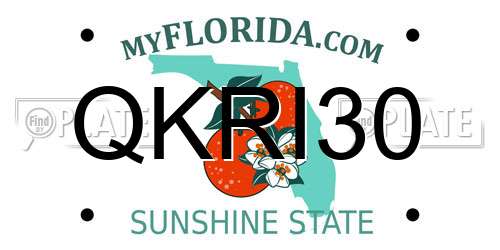 QKRI30 Florida License Plate