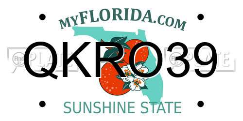 QKRO39 Florida License Plate