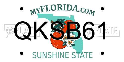 QKSB61 Florida License Plate
