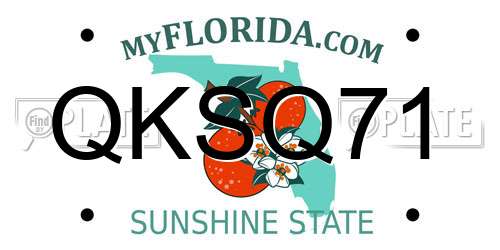 QKSQ71 Florida License Plate