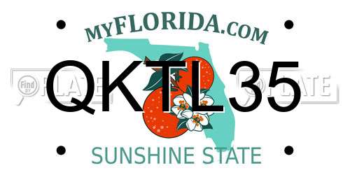 QKTL35 Florida License Plate