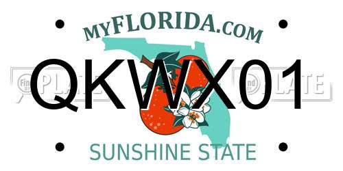QKWX01 Florida License Plate