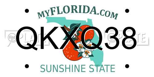QKXQ38 Florida License Plate