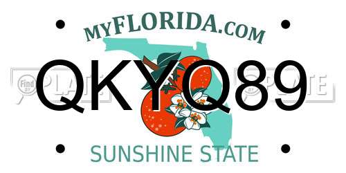 QKYQ89 Florida License Plate