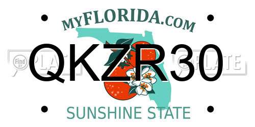 QKZR30 Florida License Plate