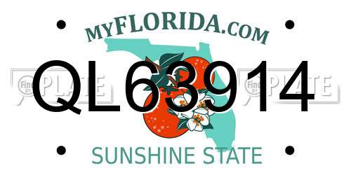 QL63914 Florida License Plate