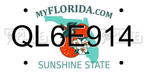 QL6E914 Florida License Plate