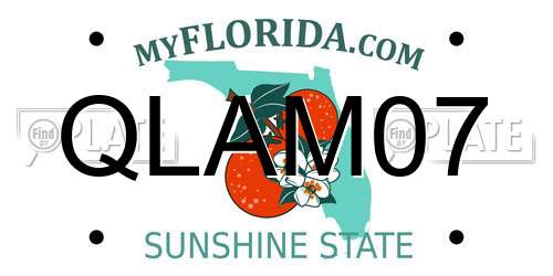 QLAM07 Florida License Plate