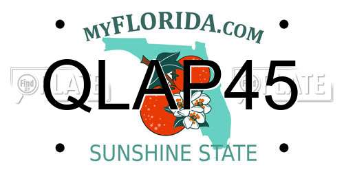 QLAP45 Florida License Plate
