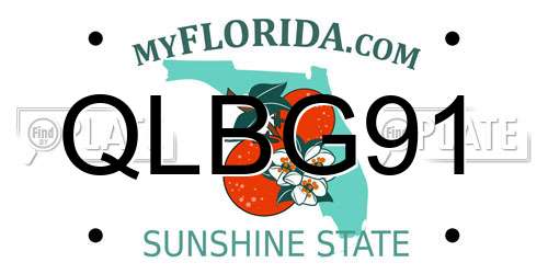 QLBG91 Florida License Plate