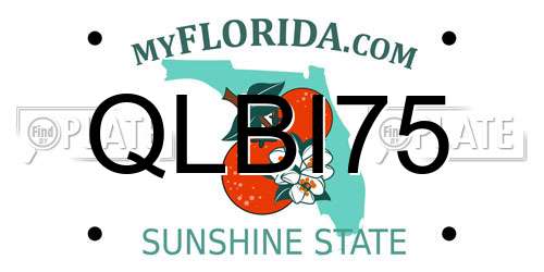 QLBI75 Florida License Plate