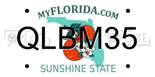QLBM35 Florida License Plate