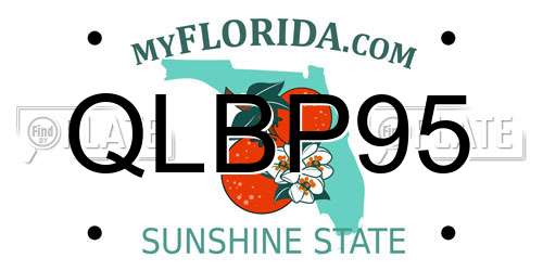 QLBP95 Florida License Plate