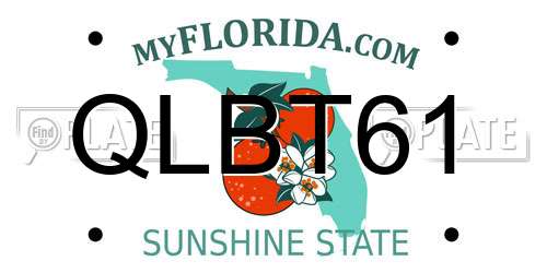 QLBT61 Florida License Plate