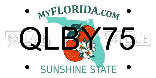 QLBY75 Florida License Plate