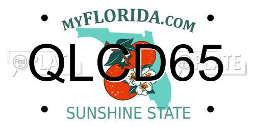 QLCD65 Florida License Plate