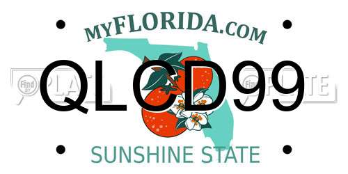 QLCD99 Florida License Plate