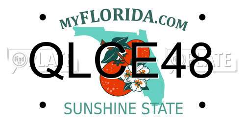 QLCE48 Florida License Plate