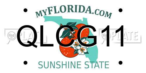 QLCG11 Florida License Plate