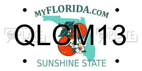 QLCM13 Florida License Plate