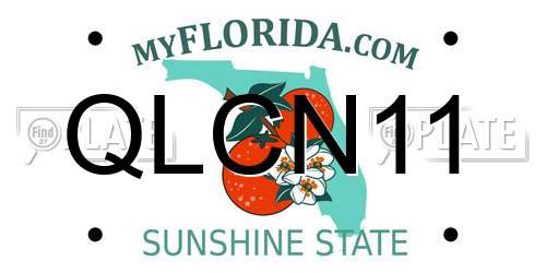 QLCN11 Florida License Plate