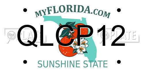 QLCP12 Florida License Plate