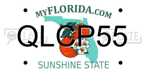 QLCP55 Florida License Plate