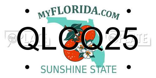 QLCQ25 Florida License Plate