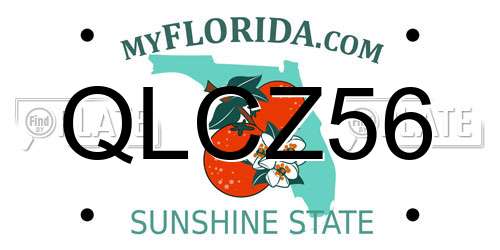 QLCZ56 Florida License Plate