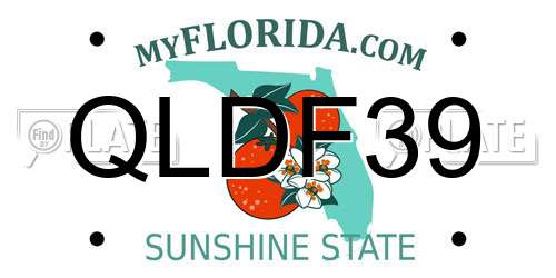 QLDF39 Florida License Plate