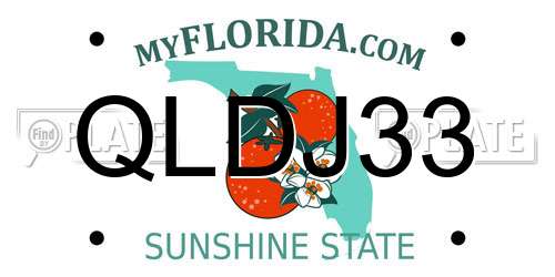 QLDJ33 Florida License Plate