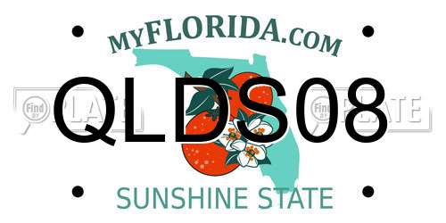 QLDS08 Florida License Plate