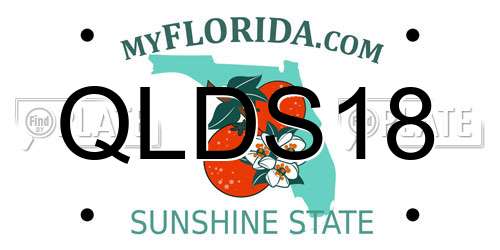 QLDS18 Florida License Plate