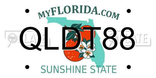 QLDT88 Florida License Plate