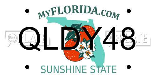 QLDY48 Florida License Plate