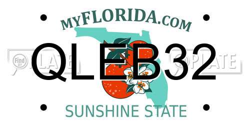 QLEB32 Florida License Plate