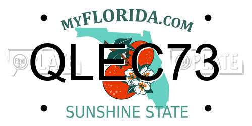 QLEC73 Florida License Plate