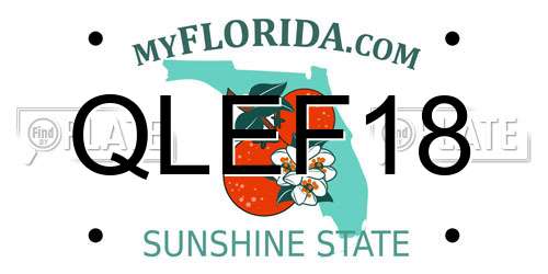 QLEF18 Florida License Plate