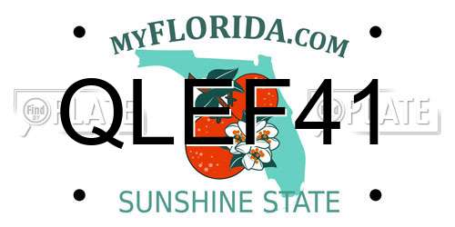 QLEF41 Florida License Plate