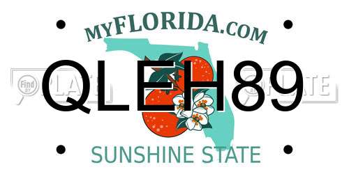 QLEH89 Florida License Plate