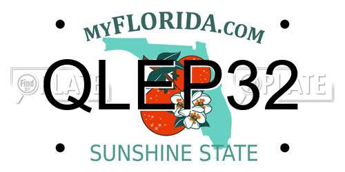 QLEP32 Florida License Plate