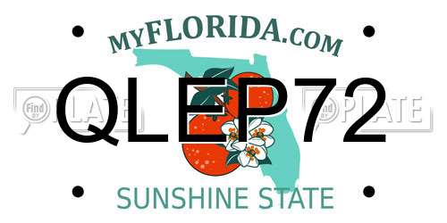 QLEP72 Florida License Plate