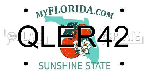 QLER42 Florida License Plate