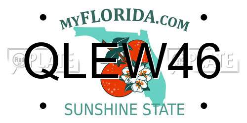 QLEW46 Florida License Plate